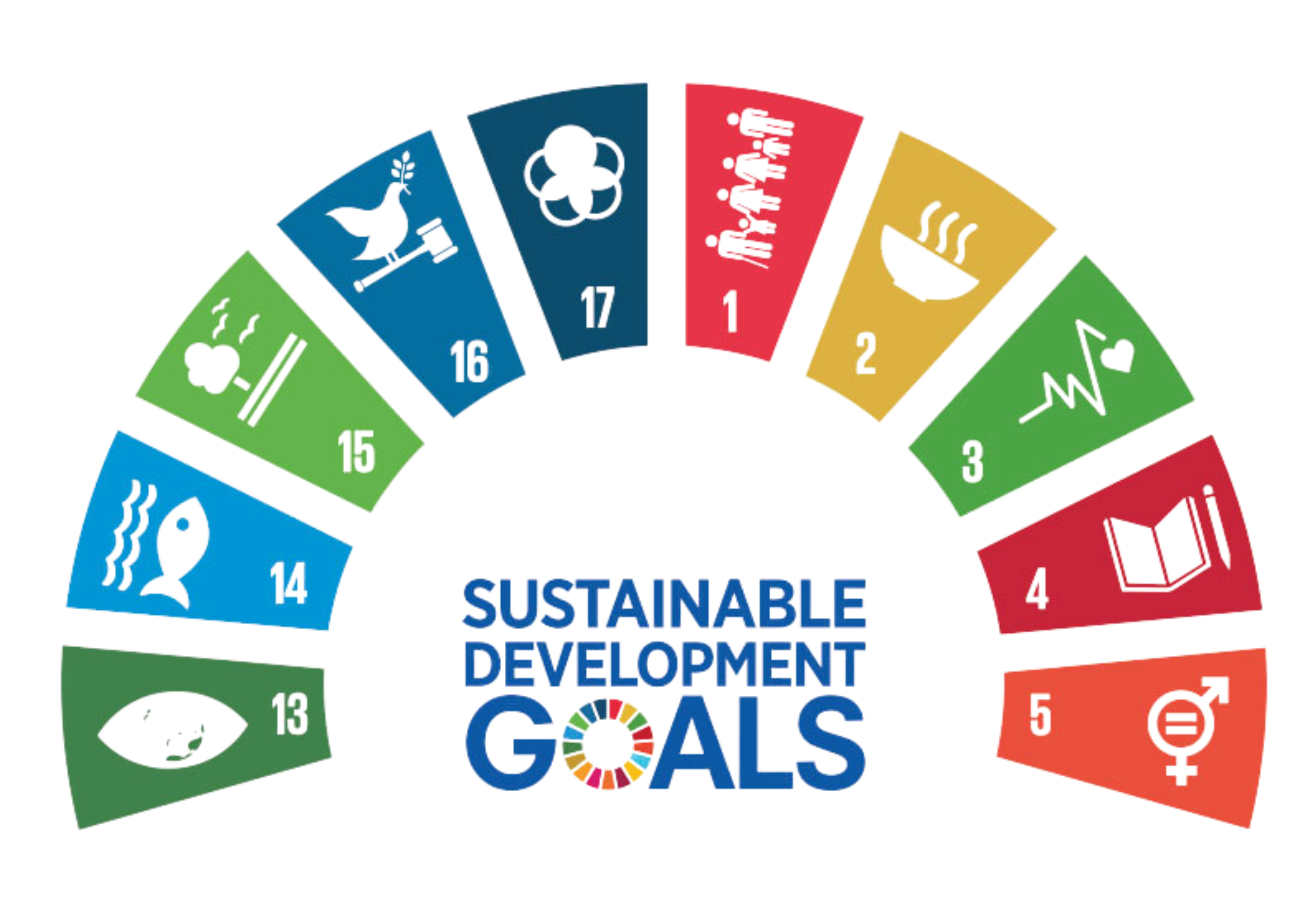 UN SDG aligned project themes icon
